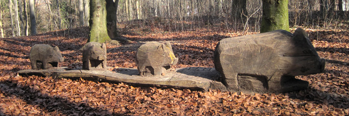 wildschweine